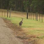 Kangaroo Valley